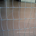 Sheep/Field Wire Mesh Fence High quality Galvanized Welded Wire Mesh Factory